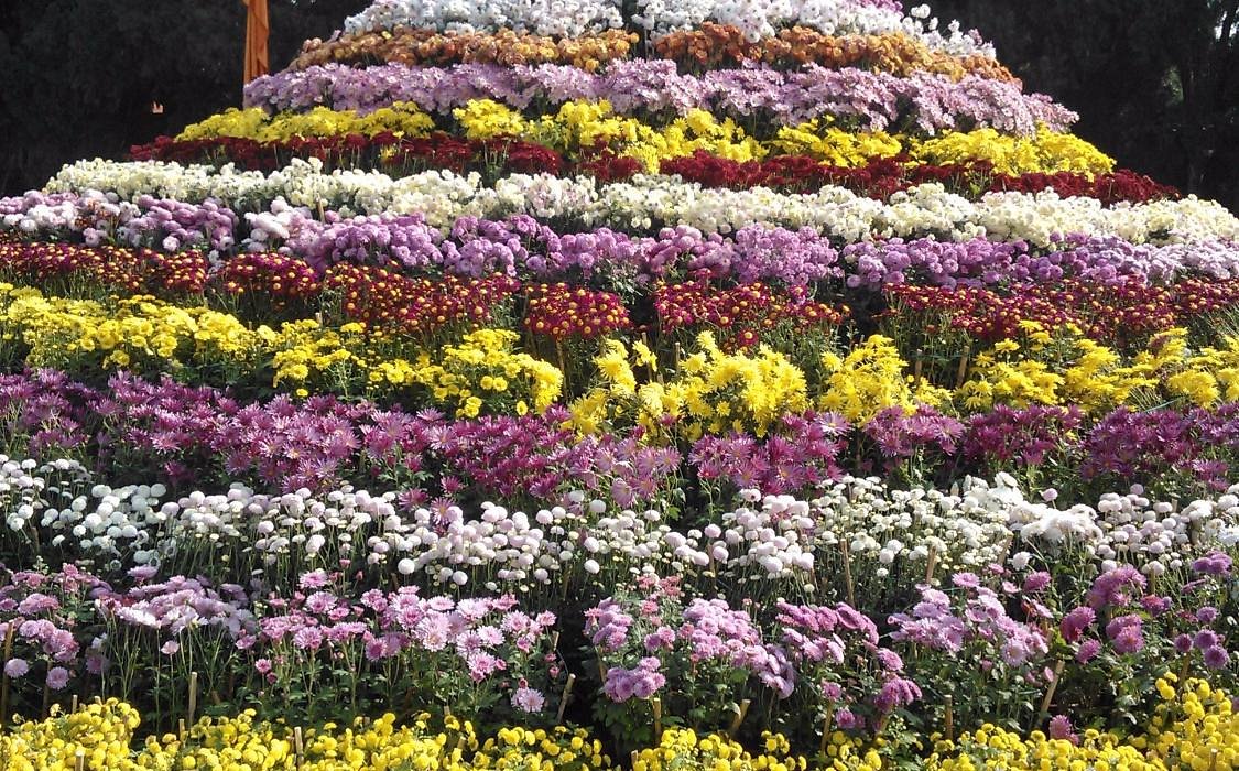 Terraced garden pathway