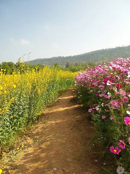 Valley walk